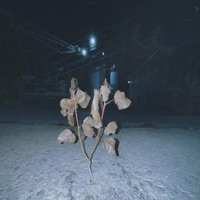 ineedu - Single - Delic