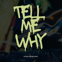 Tell Me Why - Single - Groove Crackers & Stefano Cece