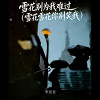 雪花别为我难过 (雪花雪花你别笑我) - Single - 李发发