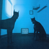 гуманитарная катастрофа - кровь из носа & Metox