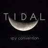 Spy Convention - Stars Fade
