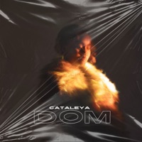 Dom - Single - Cataleya