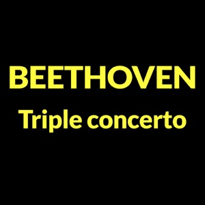 Triple Concerto in C Major, Op. 56: II. Largo (Résumé)