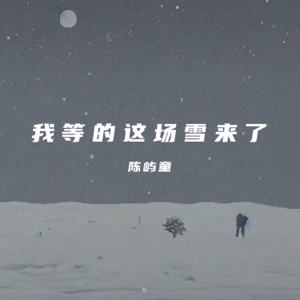 我等的这场雪来了 - Single