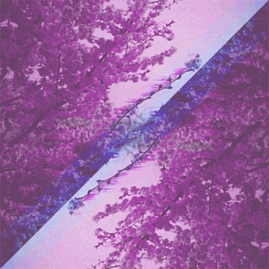 Charm (feat. Songbird) - Single