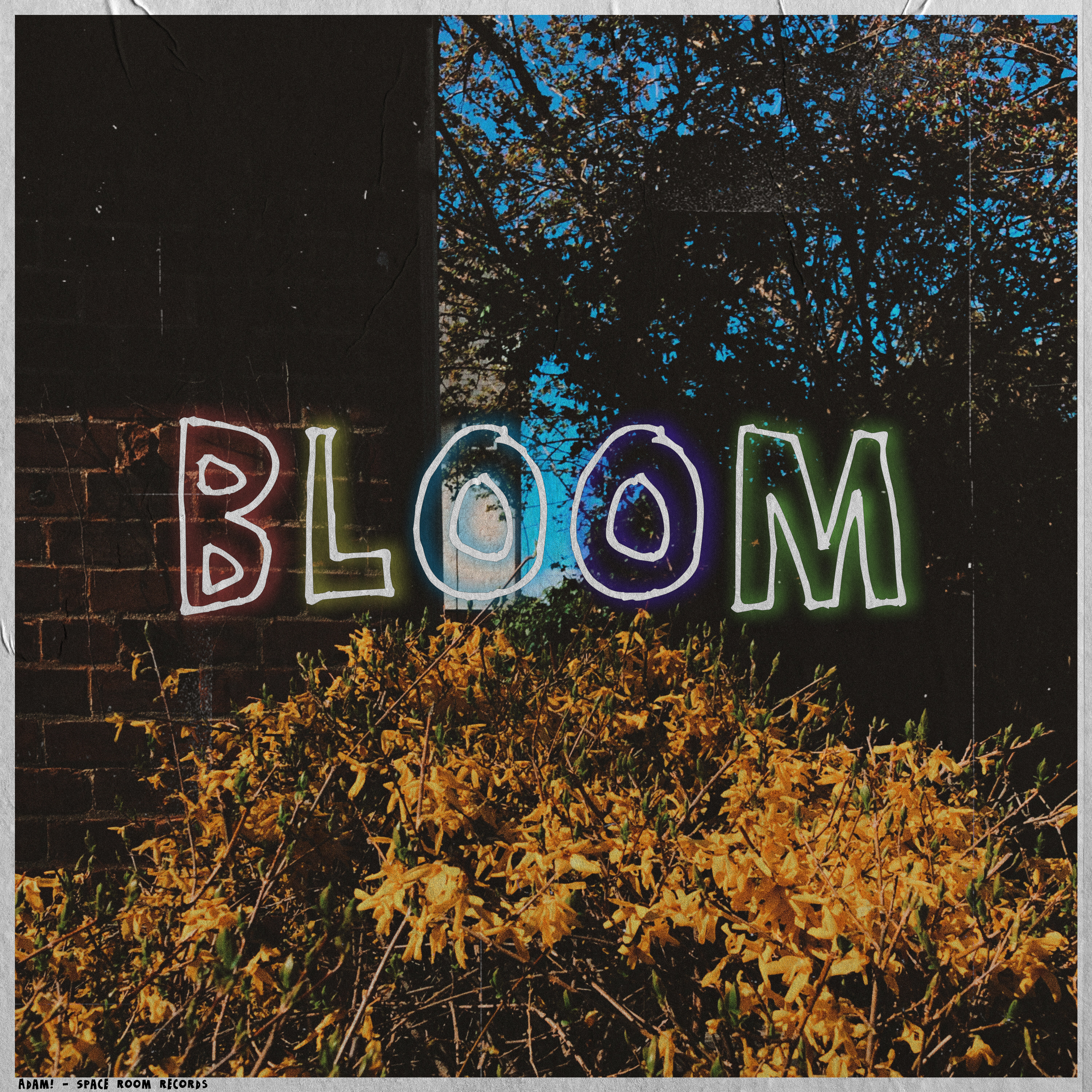 Bloom