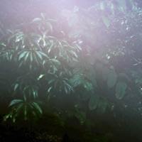 Sacred Space - Single - Memories of the Forgotten