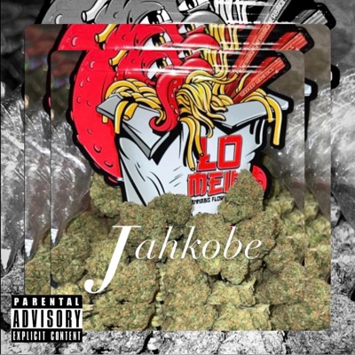 Chicken Lo Mein - Single