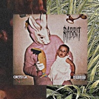 Rabbit - Ort3ga