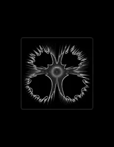 Listen to Fallen Fall, watch music videos, read bio, see tour dates & more!
