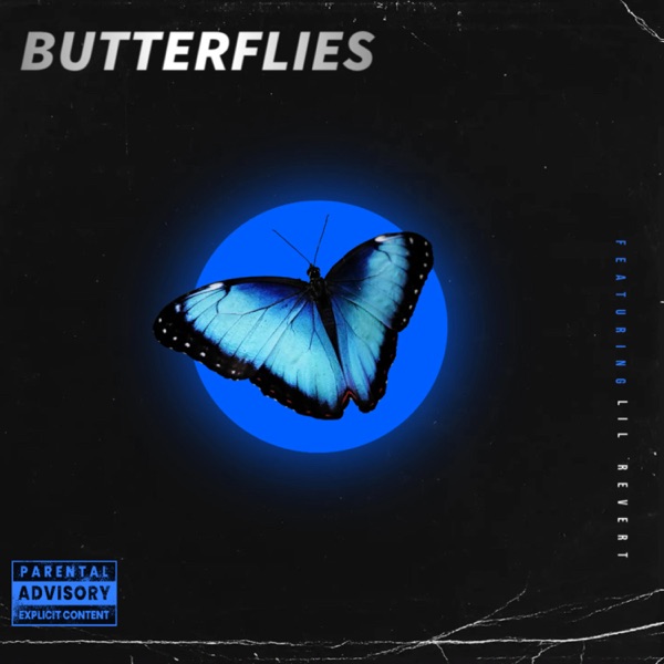 Butterflies (feat. Lil Revert)