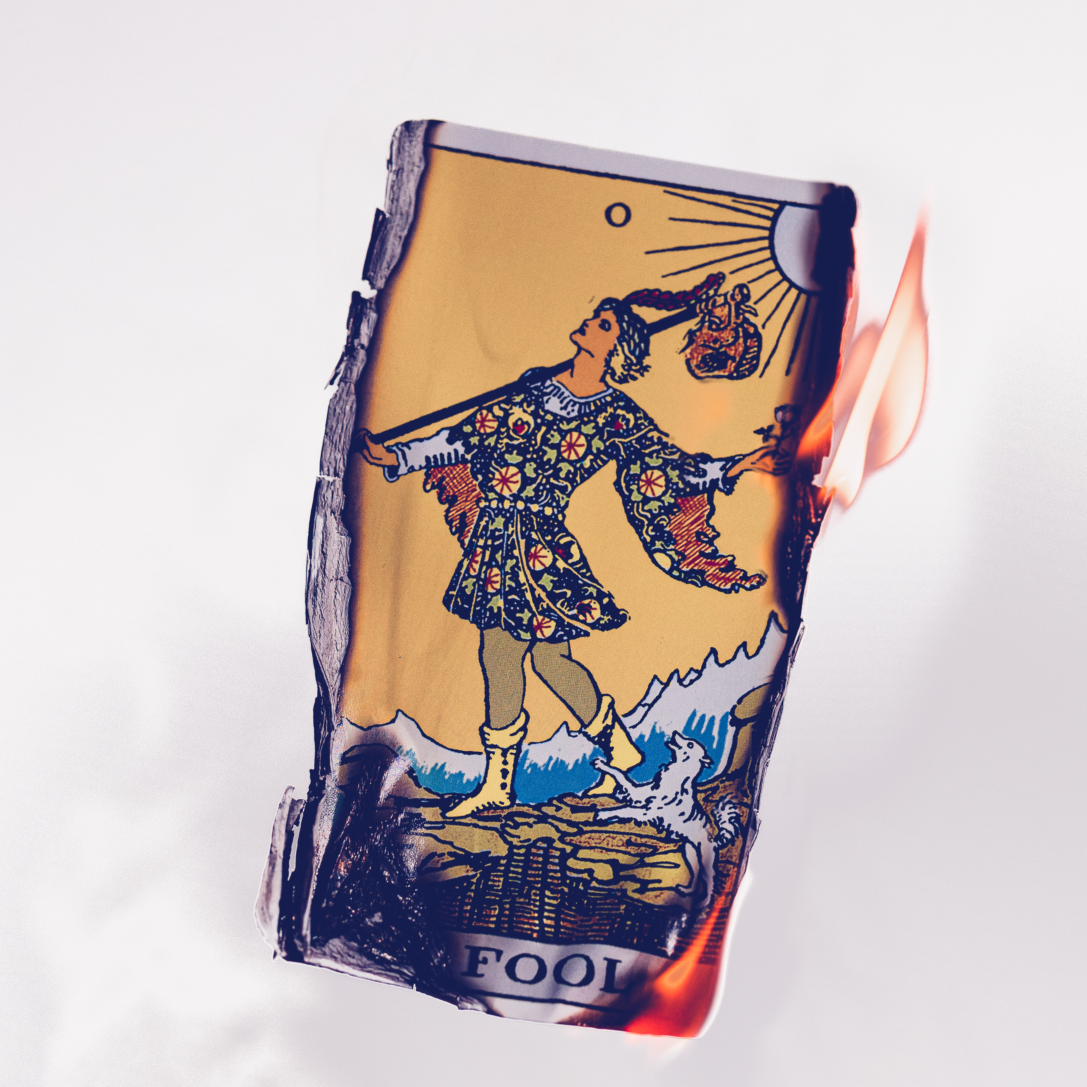 Fool - Single