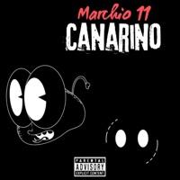 Canarino - Single - Marchio 11 official