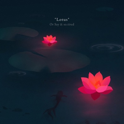 Lotus - Single