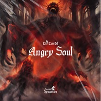 Angry Soul - Single - Lit Lords