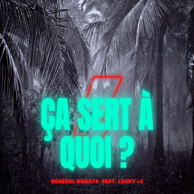 Ça sert à quoi ? (feat. Lucky +2) - Single