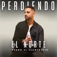 Perdiendo El Norte — Pedro El Flamenkito