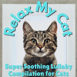 Relax My Cat - Super Soothing Lullaby Compilation for Cats