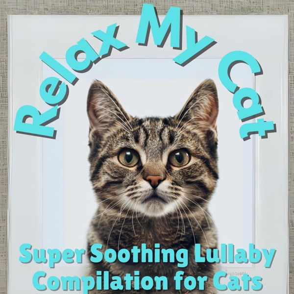 Relax My Cat - Super Soothing Lullaby Compilation for Cats