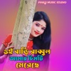 ওই বাড়ি রাব্বুল আমায় চিমটি মেরেছে - Single (feat. Pinki Begum) - Single