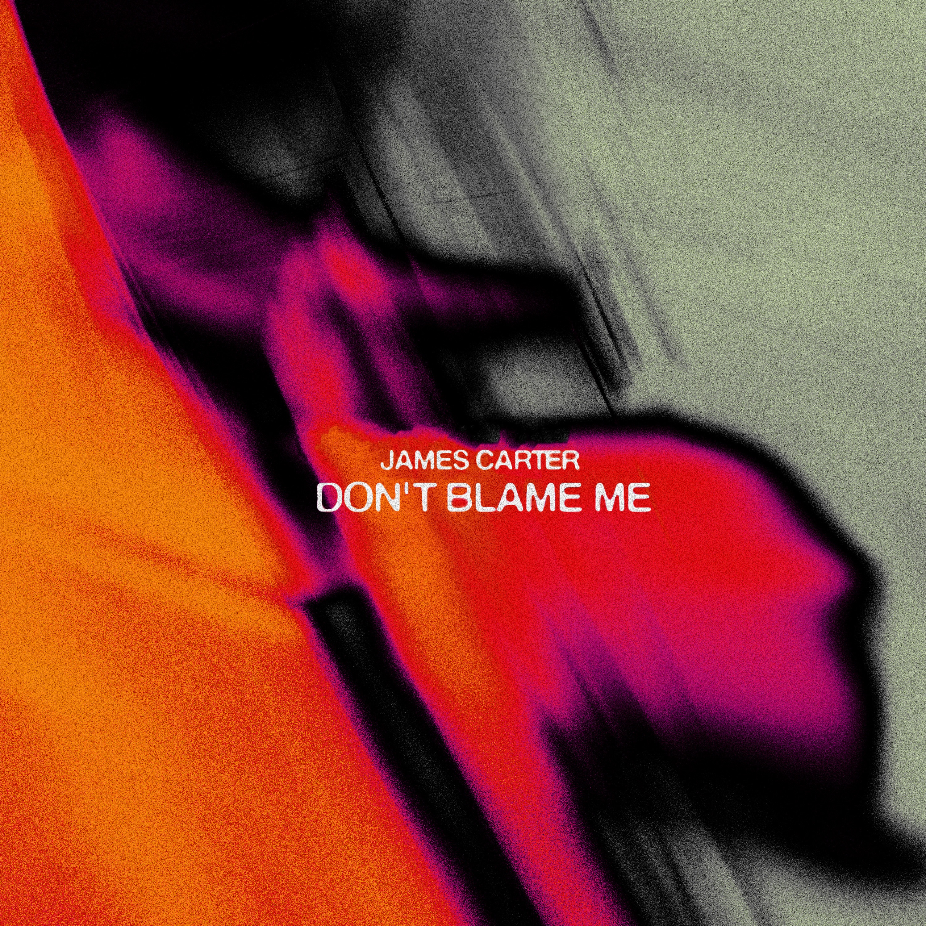 Don't Blame Me - Single