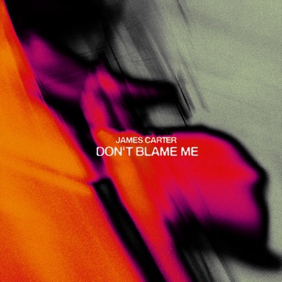 Don't Blame Me - Single