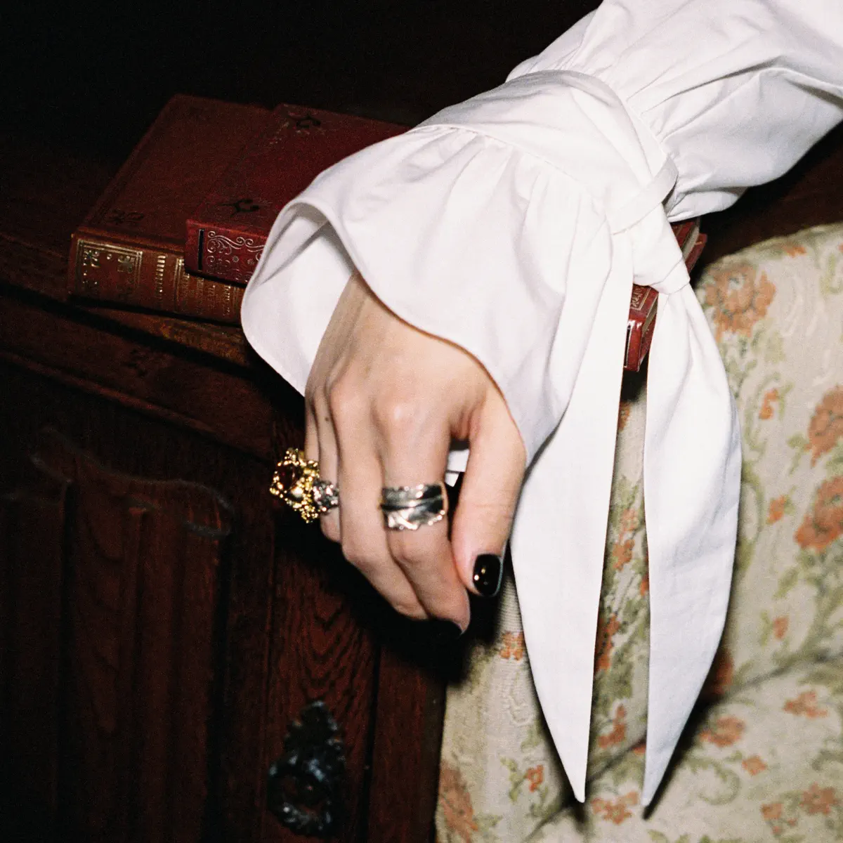 鹤The Crane - 特別 - Single (2025) [iTunes Plus AAC M4A]-新房子