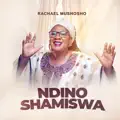 Ndinoshamiswa