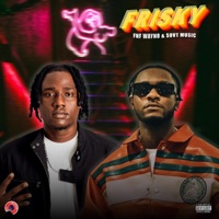 FRISKY (feat. SovT Music) - Single - FNF WAYNO