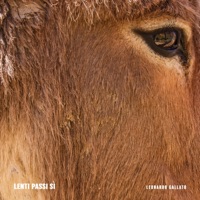 Lenti passi sì - Single - Leonardo Gallato