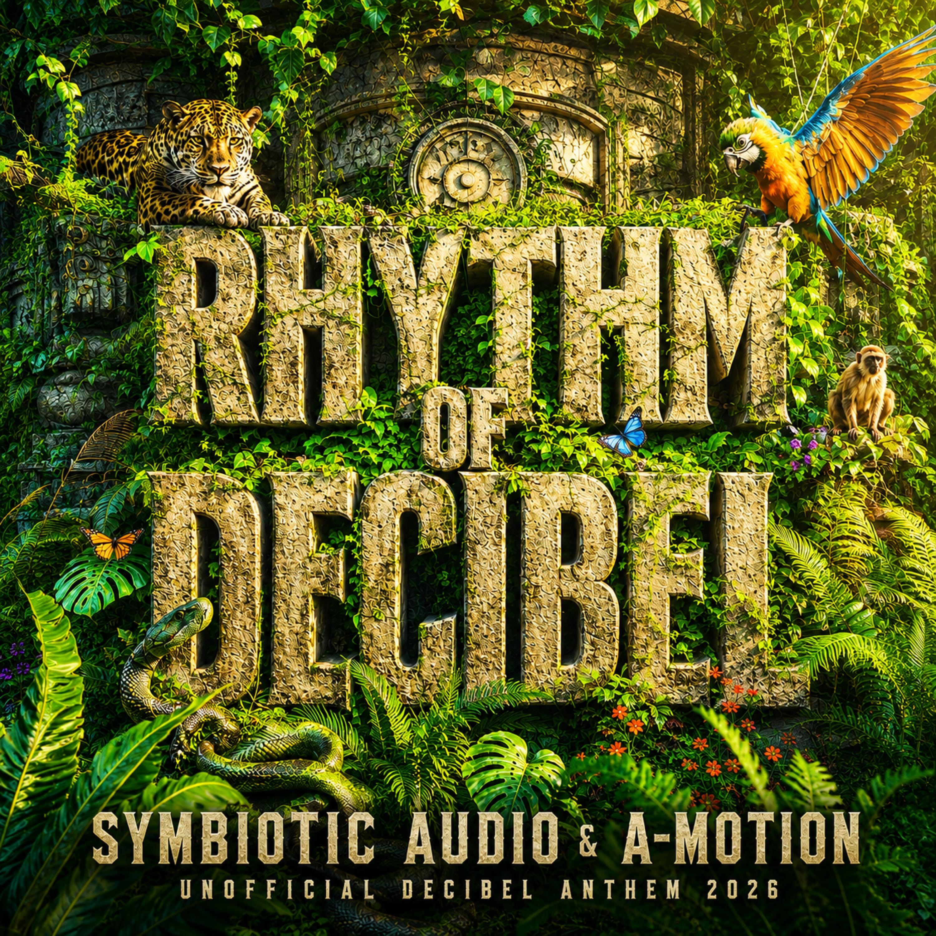 Rhythm of Decibel - Single
