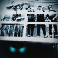 FAWN (feat. qody) - Single - VeiledVisions