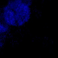 not what it seems #652 - Single - alucify