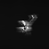 Je t'attends - EP - Charles Aznavour & Shahin Shantiaei