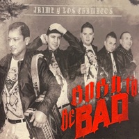 Born To Be Bad - Jaime y Los Chamacos