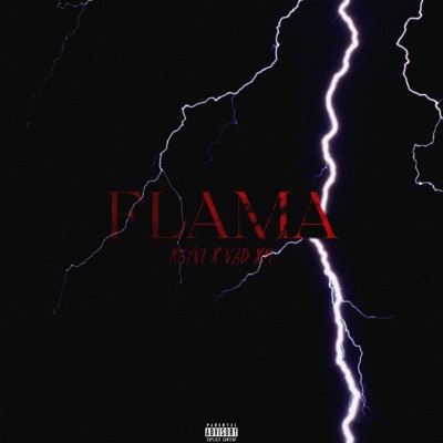 FLAMA (feat. VAD XM) - Single