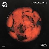 Unity - Single - Miguel Ante