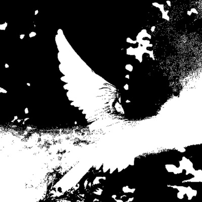 WITH THE CROWS: DIRECTORS CUT