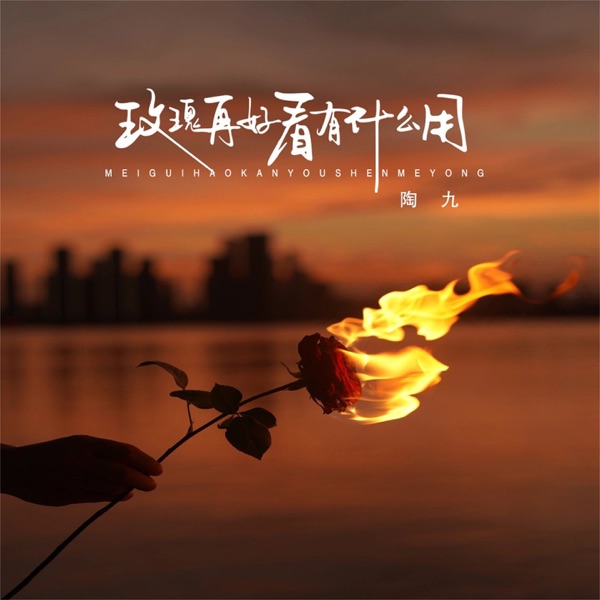 玫瑰再好看有什么用 - Single