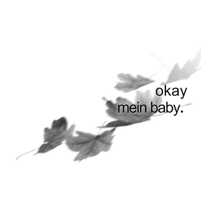 okay mein baby. - Single