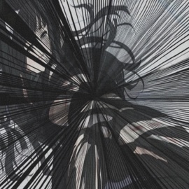 sad eyes evacry & moltema