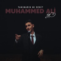 Tanımadın Mı Beni