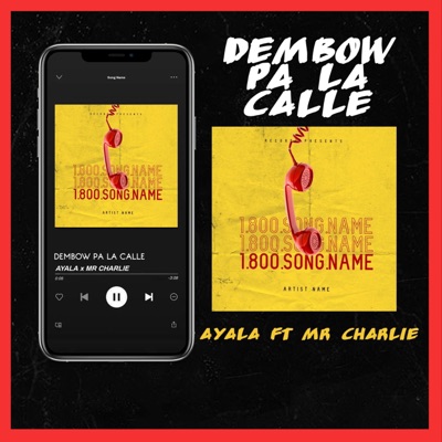 DEMBOW PA LA CALLE (feat. MR CHARLIE) - Single