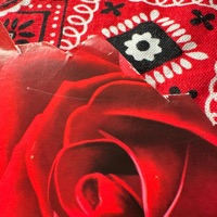 My Love (feat. 358Ralph) - Single - Bay358