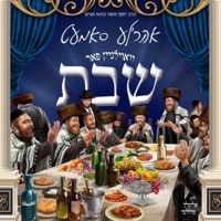 וואוילגיין פאר שבת - Single - Ahrele Samet