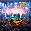 Adiós al Amor