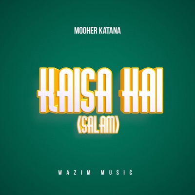 Kaisa Hai / Salam - Single