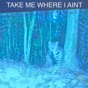 Take Me Where I Ain't (feat. Alyse Baca) - Single