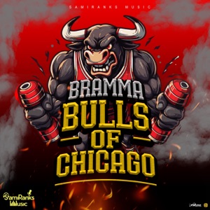 Bulls of Chicago - Single