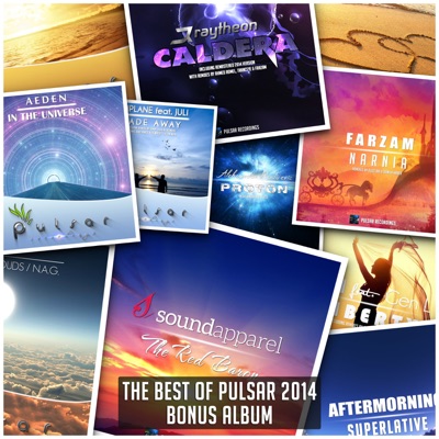 The Best of Pulsar 2014 (Bonus Album)